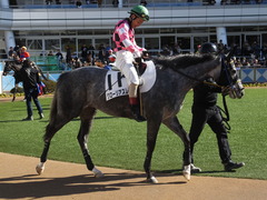 20150117 中山5R 3歳未勝利 グローリアスレイ 09