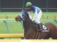 20190427 東京9R 秩父特別(1000) アドマイヤシナイ 20