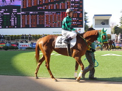 20140118 中山競馬場 ポッドコンジュ 14