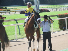 20181021 東京6R (500) ロジスカーレット 24