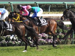 20170226 中山9R 富里特別4上(500) トーセンカナロア 22
