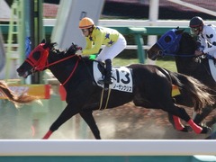20180107 中山3R 3歳未勝利 ノーザンクリス 19
