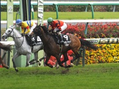 20160417 中山9R 鹿野山特別 1000万下 オウケンブラック 13
