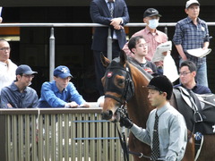 20140517東京9R オウケンブラック 02
