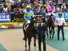 20161030 東京4R 2歳メイクデビュー ビルズトレジャー 18