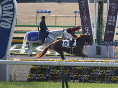 20160131 東京1R 3歳未勝利 ホウオウマリリン 07