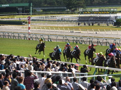 20140928 新潟2R メリケンガール 13