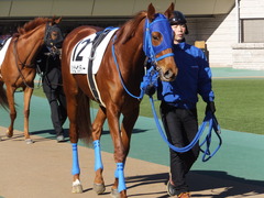 20170219 東京1R 3歳未勝利 ハッピーサンディー 09