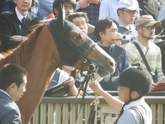 20190421 東京11R フローラS(G2) クラサーヴィツァ 10