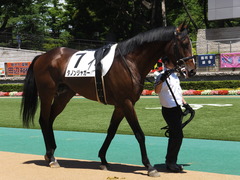 20140614 東京3R ダノンジャガー 08
