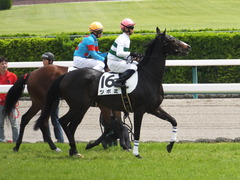 20160410 中山4R 3歳未勝利 ツボミ 19
