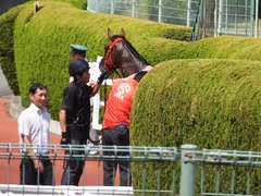 20170910 阪神3R 3歳未勝利 フェアチャイルド 35