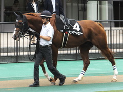 20150627 東京11R 夏至S ランドマーキュリー 01