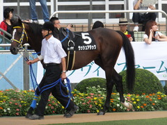 20170930 中山10R 習志野特別(1000) ラッシュアタック 02
