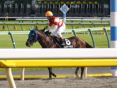 20170617 東京11R ジューンS(1600) トレジャーマップ 21
