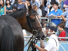 20160910 中山8R (500) プエルト 10