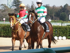 20190302 中山8R 潮来特別(1000) ラッシュアタック 17