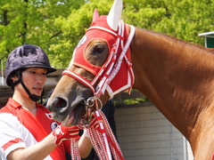 20150425 京都4R 3歳未勝利 レーヌドブリエ 10