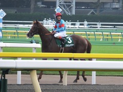 20161008 東京11R サウジアラビアRC(G3) クライムメジャー 22
