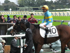 20161030 東京4R 2歳メイクデビュー ビルズトレジャー 33