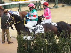 20150308 中山5R 3歳未勝利 ラッシュアタック 17