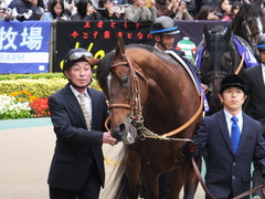 20161030 東京11R 天皇賞・秋(G1) モーリス 15