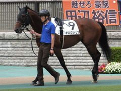 20170618 東京4R 3歳未勝利 ホウオウジャンプ 04