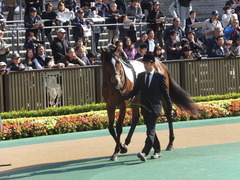 20131117 東京 ビップレボルシオン 05