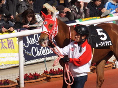 20170225 阪神9R 丹波特別(500) レーヌドブリエ 14