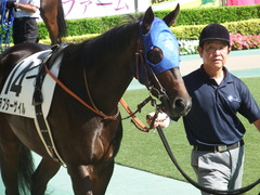 20181006 東京8R (500) ラプターゲイル 02