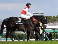 20140405 中山9R 山吹賞 ショウナンラグーン 13