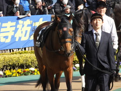 20150221 東京9R 4歳上1000万下 オウケンブラック 06