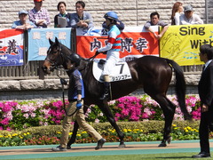 20150426 東京1R 3歳未勝利 ジュンコアー 09