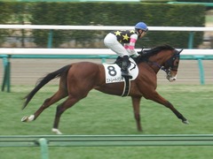 20190112 中山5R 3歳未勝利 ストレートパンチ 19