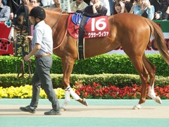 20190421 東京11R フローラS(G2) クラサーヴィツァ 03