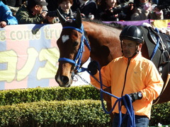 20180218 東京9R ヒヤシンスS モリノラスボス 01