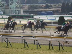 20150221 東京1R 3歳未勝利 フレンドマキシマム 09