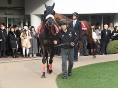 20150125 中山11R AJCC(G2) ショウナンラグーン 01