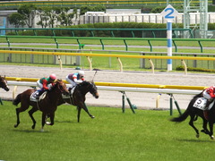 20140614 東京5R ジュンナカヤマ 08