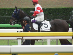 20180617 東京3R 3歳未勝利 ダノンシャレード 13