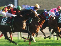 20181117 東京11R 東スポ杯2歳S(G3) アドマイヤスコール 18