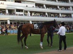 20131207 中山競馬場 ユーロビート 12