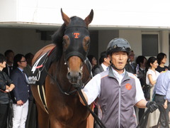 20170930 中山10R 習志野特別(1000) オウケンブラック 09