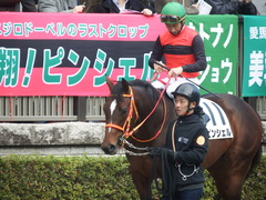 20190126 東京5R 3歳未勝利 ピンシェル 15