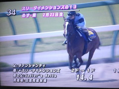 JRAブリーズアップセール 34 スリーダイメンションズ 01