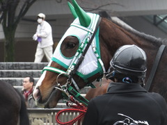 20160130 東京3R 3歳未勝利 カズノメガミ 11
