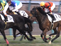 20160123 中山12R 4歳上500万下 オウケンブラック 11