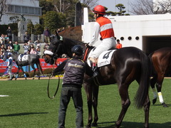 20140316 中山6R ショウナンラグーン 11