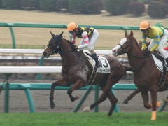 20190303 中山6R 3歳未勝利 ストレートパンチ 18