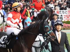 20151129 東京9R オリエンタル賞 トレジャーマップ 11
